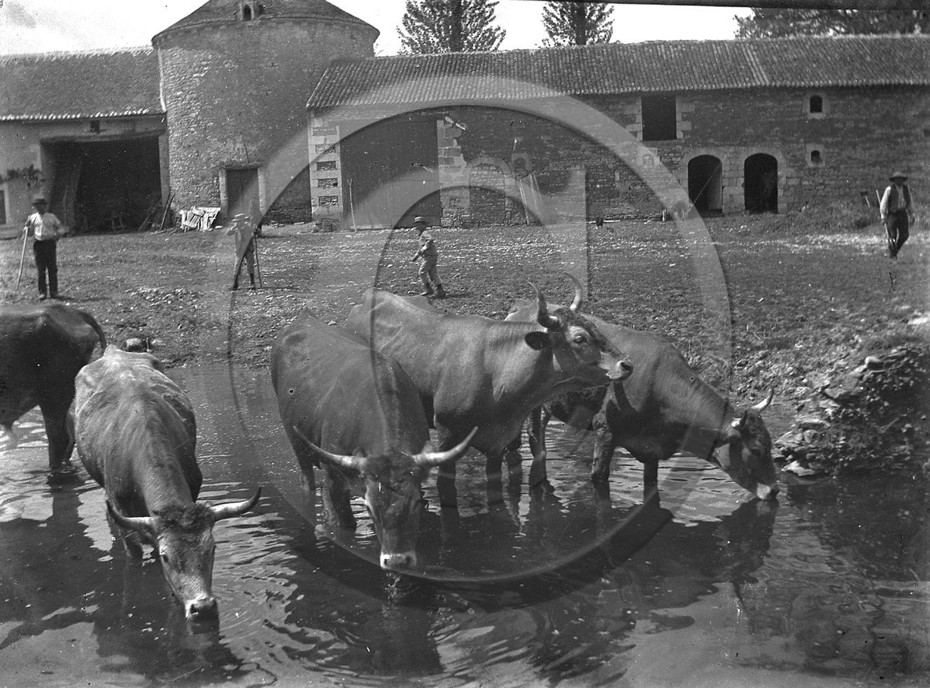 ag 331.jpg