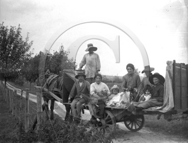 AG 373.jpg