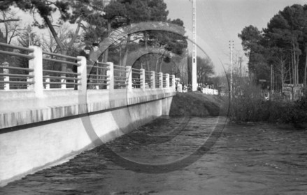arc 4294 .jpg