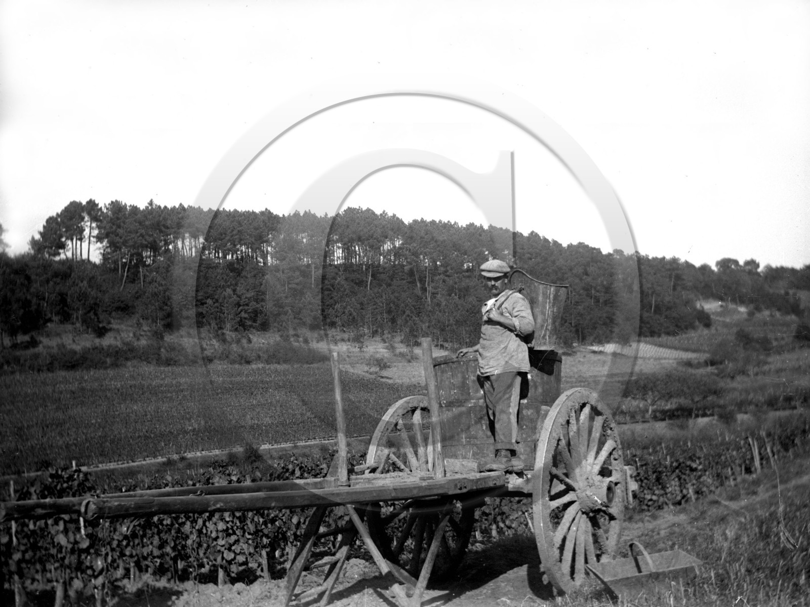 AG 276  .jpg