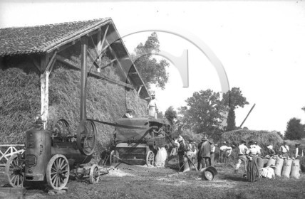 AG 444.jpg