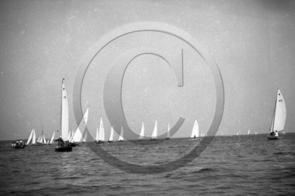 arc 3826.jpg