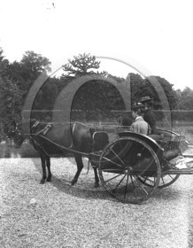 AG 465.jpg