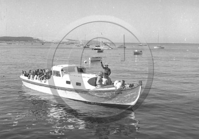 arc 1255.jpg