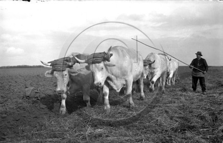 AG 79.jpg