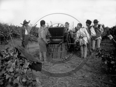 AG 111  .jpg