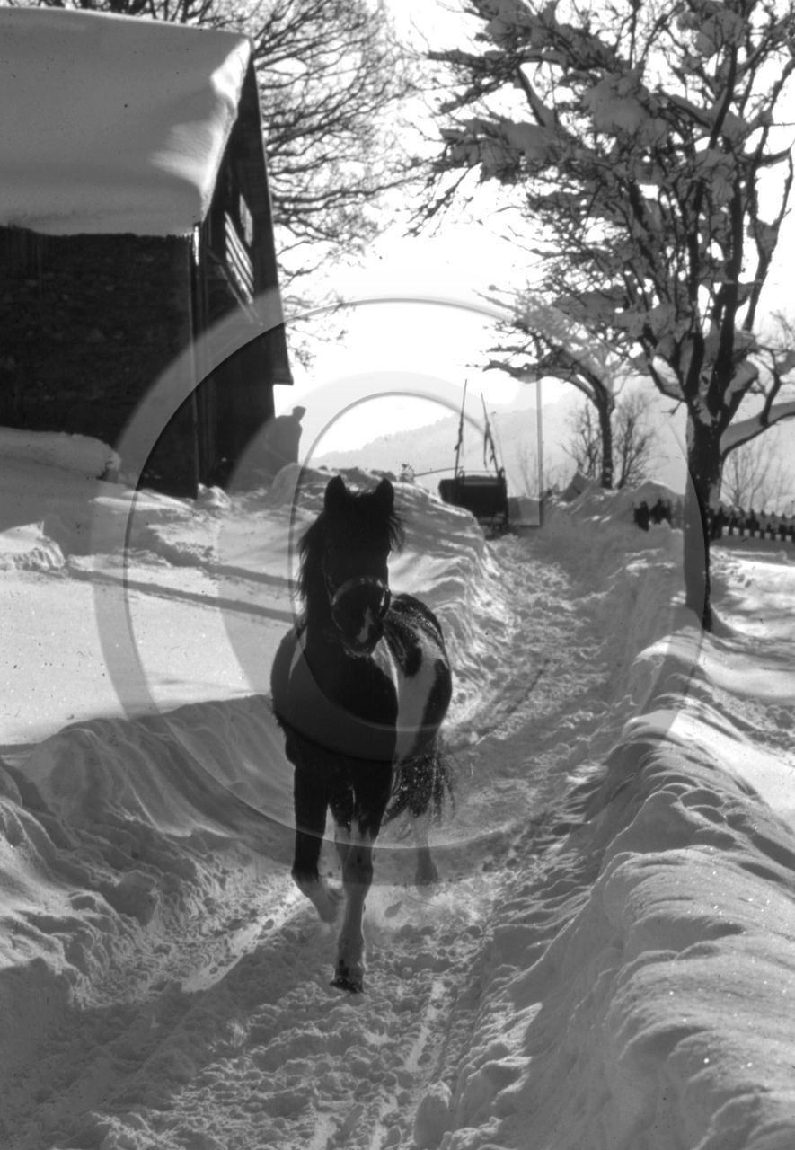Megeve