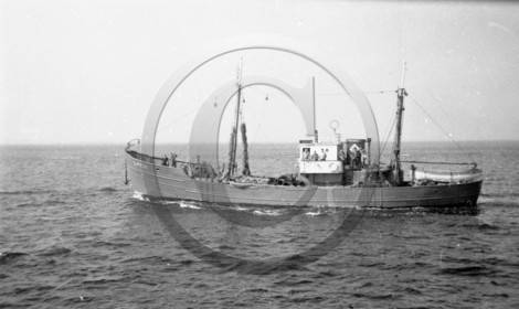 arc 1503.jpg