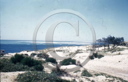 arc 1915  .jpg