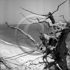 arc 1899  .jpg