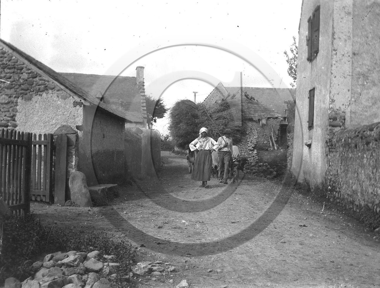 AG 394.jpg