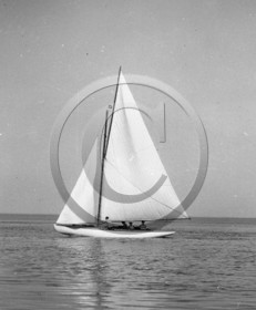 arc 1602.jpg