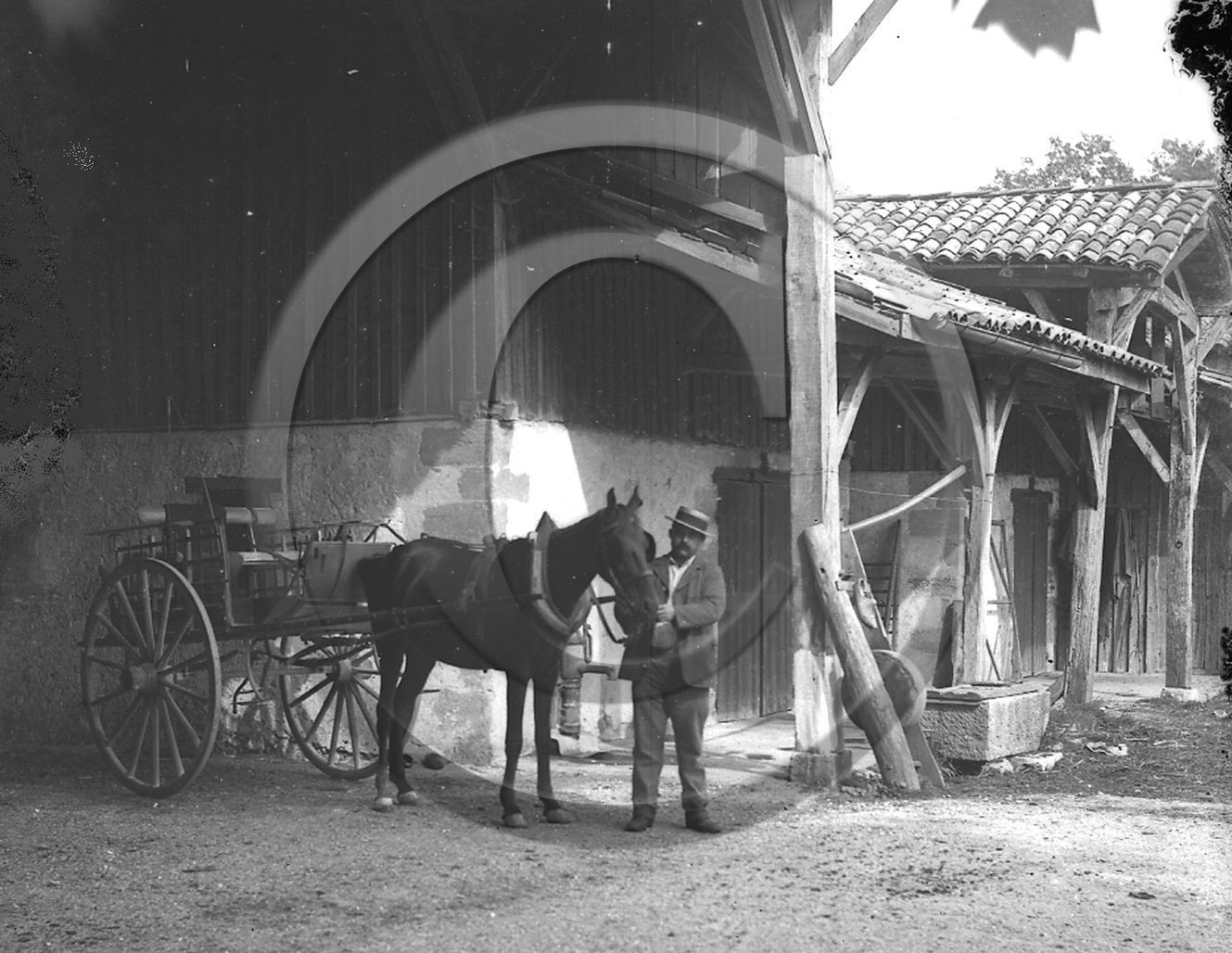 AG 449.jpg
