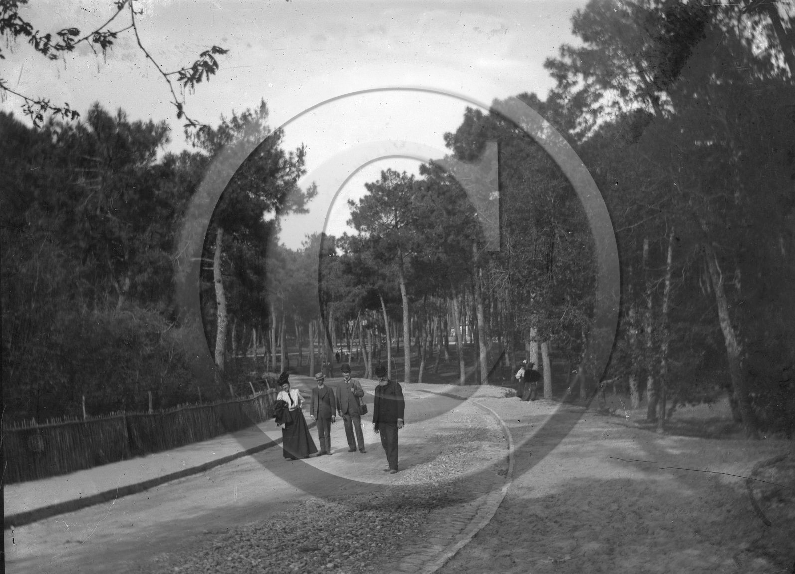 arc 2512.jpg