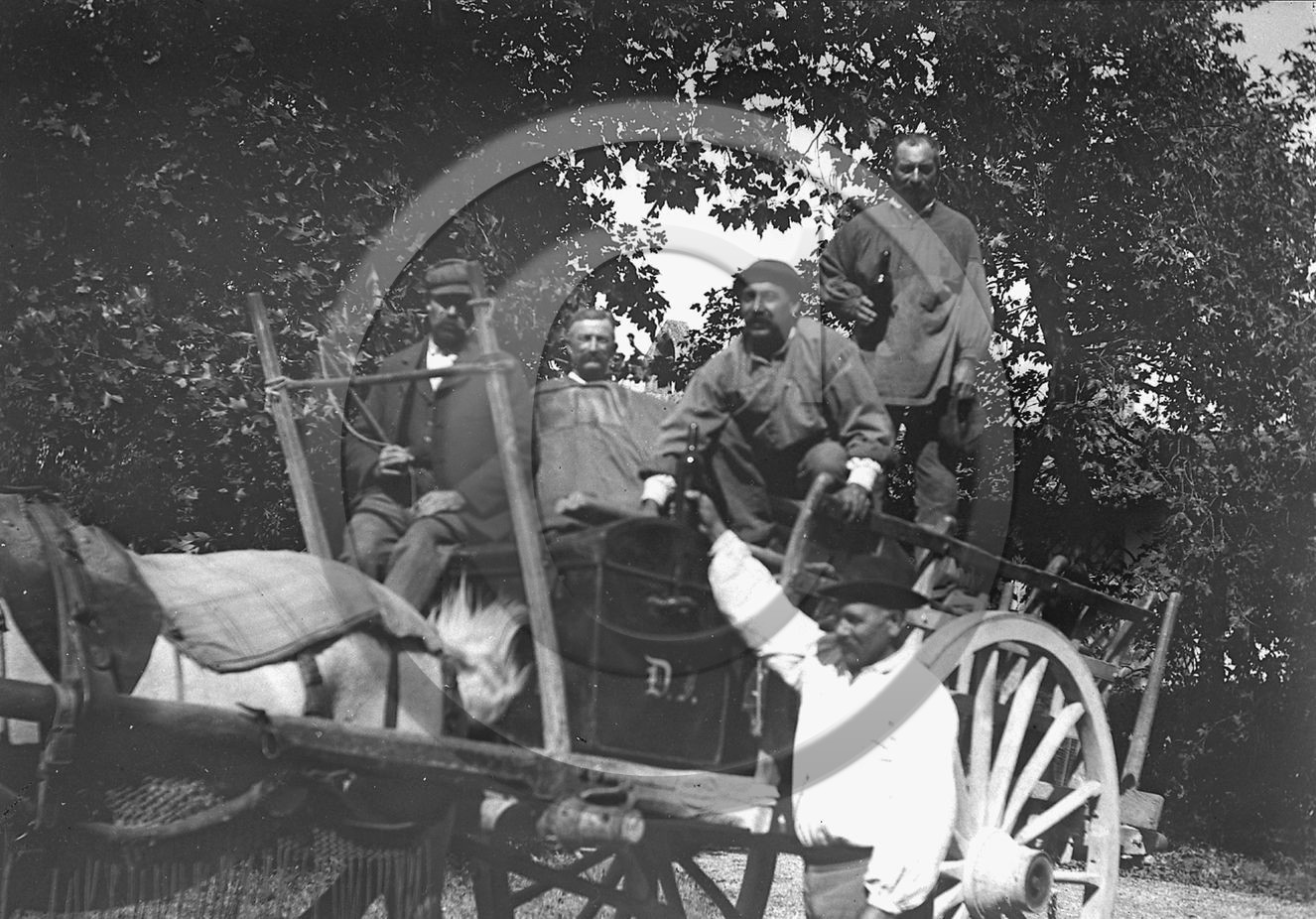 AG 471.jpg