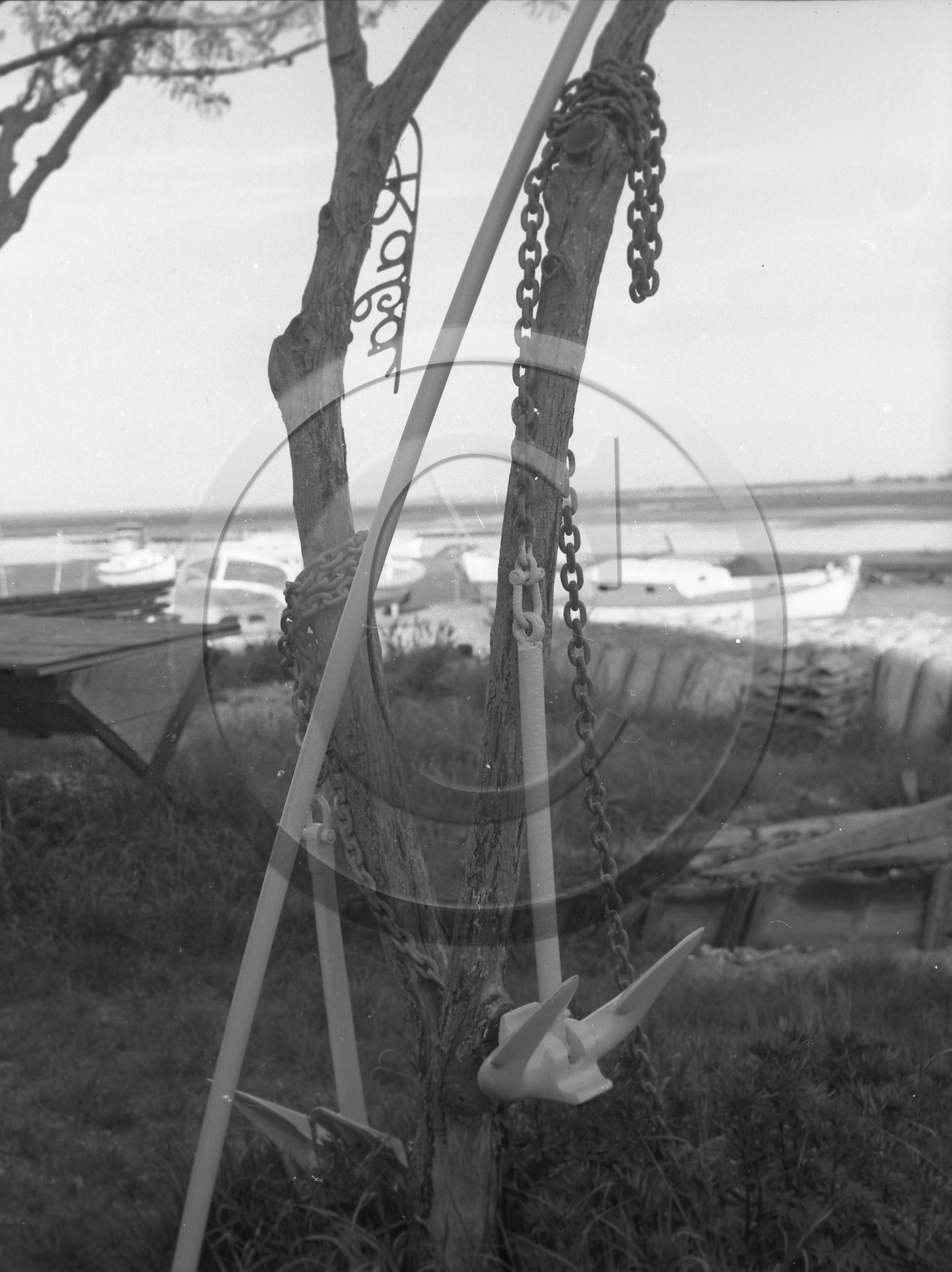arc 1307.jpg