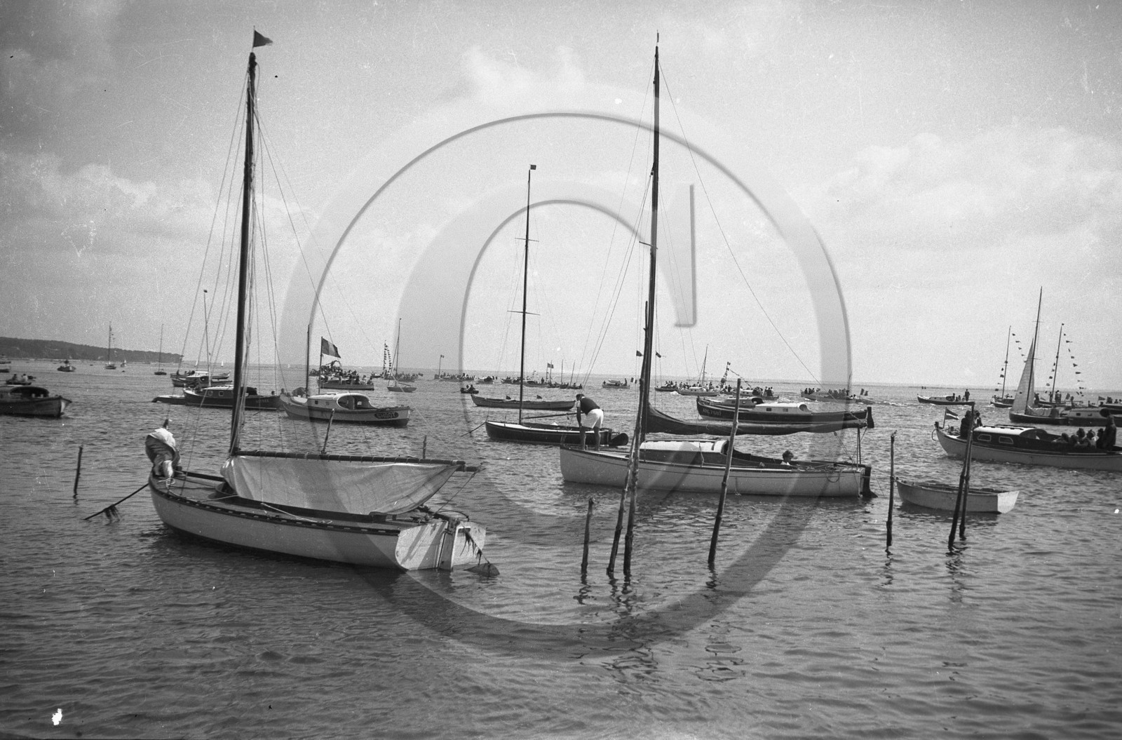 arc 3825.jpg