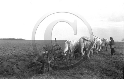 AG 78.jpg