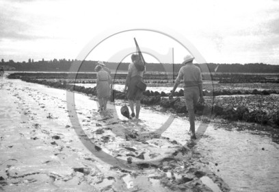 arc 3976.jpg