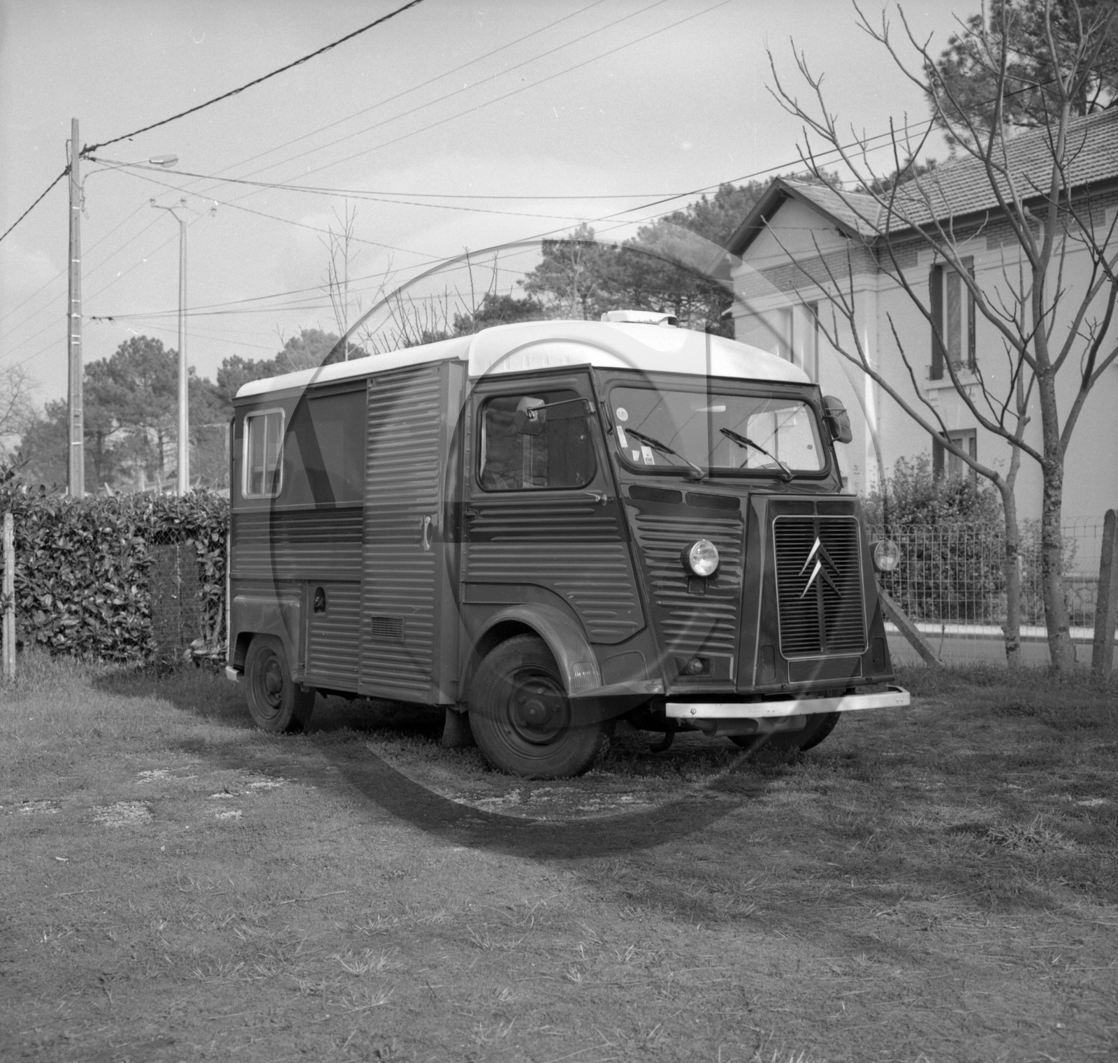 AUU 110  .jpg
