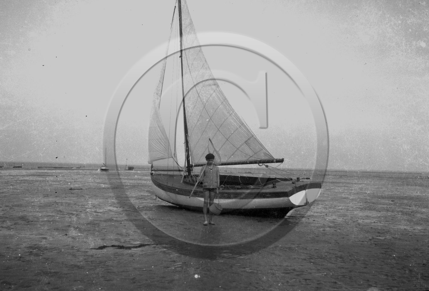 arc 3977.jpg