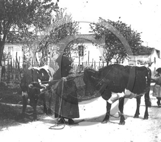 AG 441.jpg