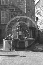 AG 448.jpg