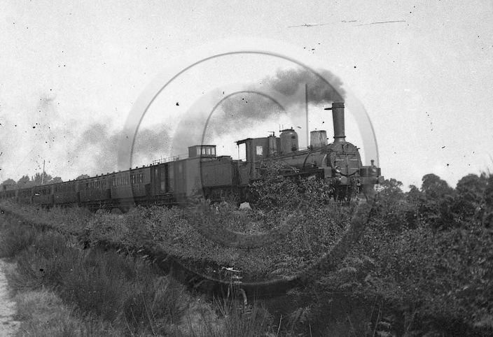 CH 41.jpg