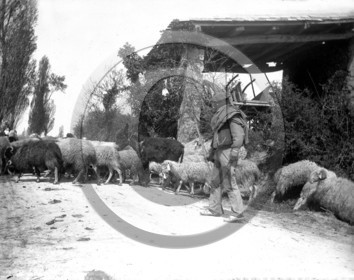 ag 498.jpg