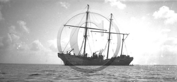 arc 1236.jpg