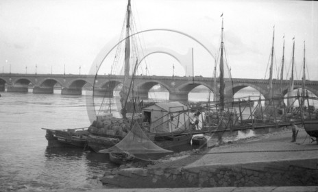 BX 295.jpg