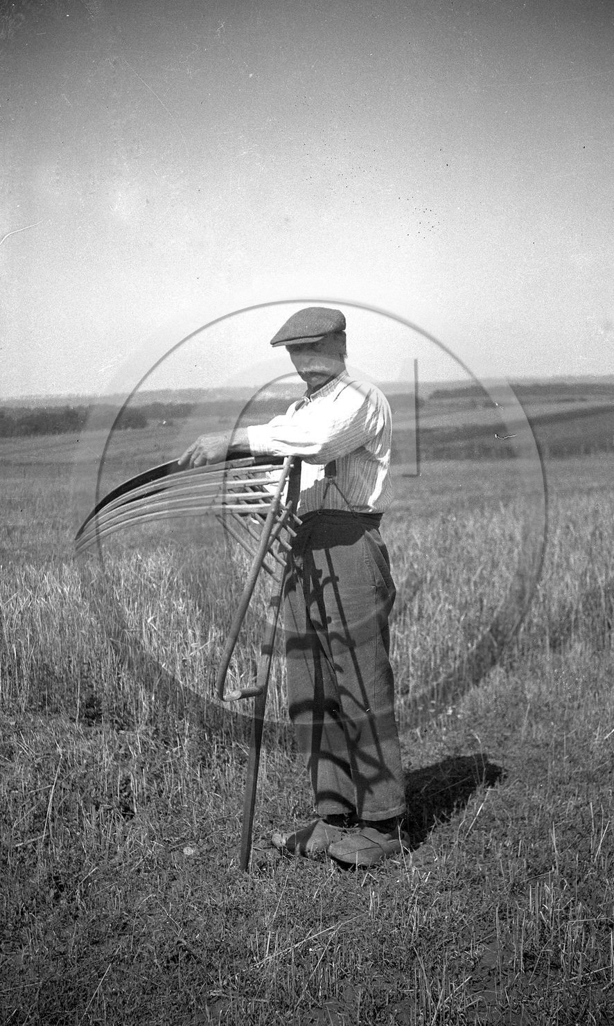 ag 499.jpg