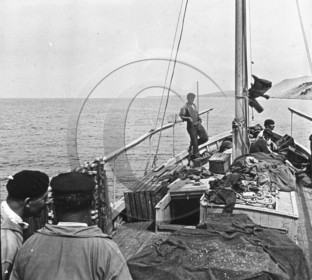 arc 1335.jpg