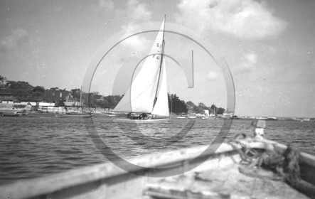 arc 1235.jpg