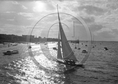arc 1449.jpg