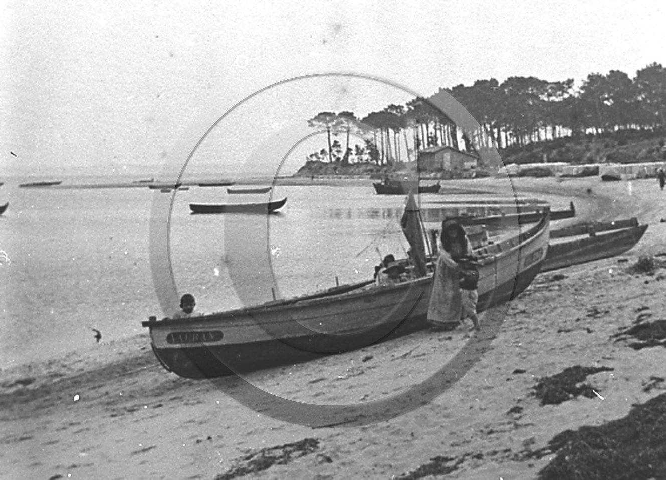 arc 1227.jpg