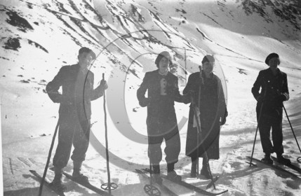 sl 252 ski.jpg