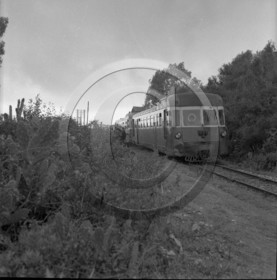 CH 109.jpg