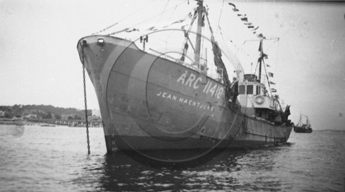 arc 1499.jpg