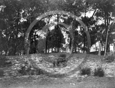 arc 4239 .jpg