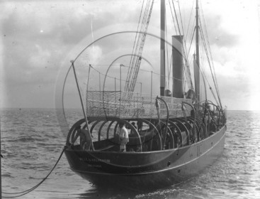 arc 1329 ville d'arcachon .jpg