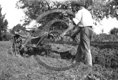 AG 157.jpg