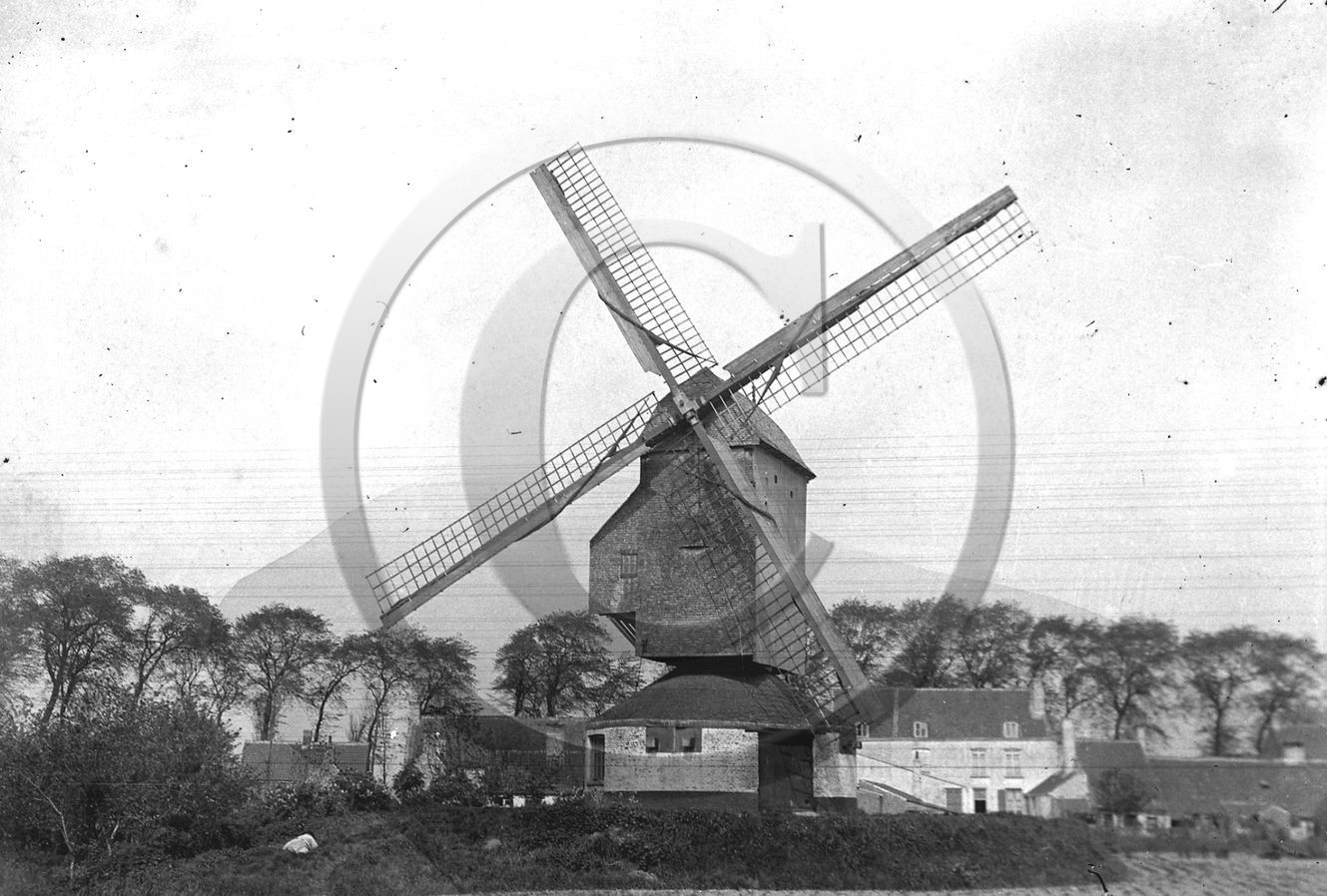 ag 299.jpg