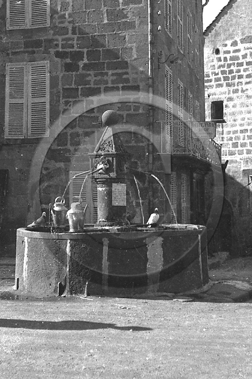 AG 448.jpg