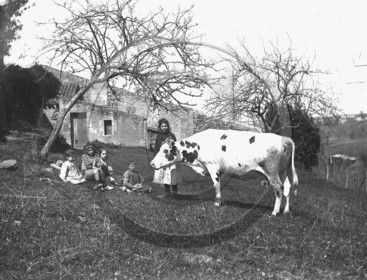 AG 384.jpg