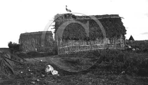 AG 451.jpg