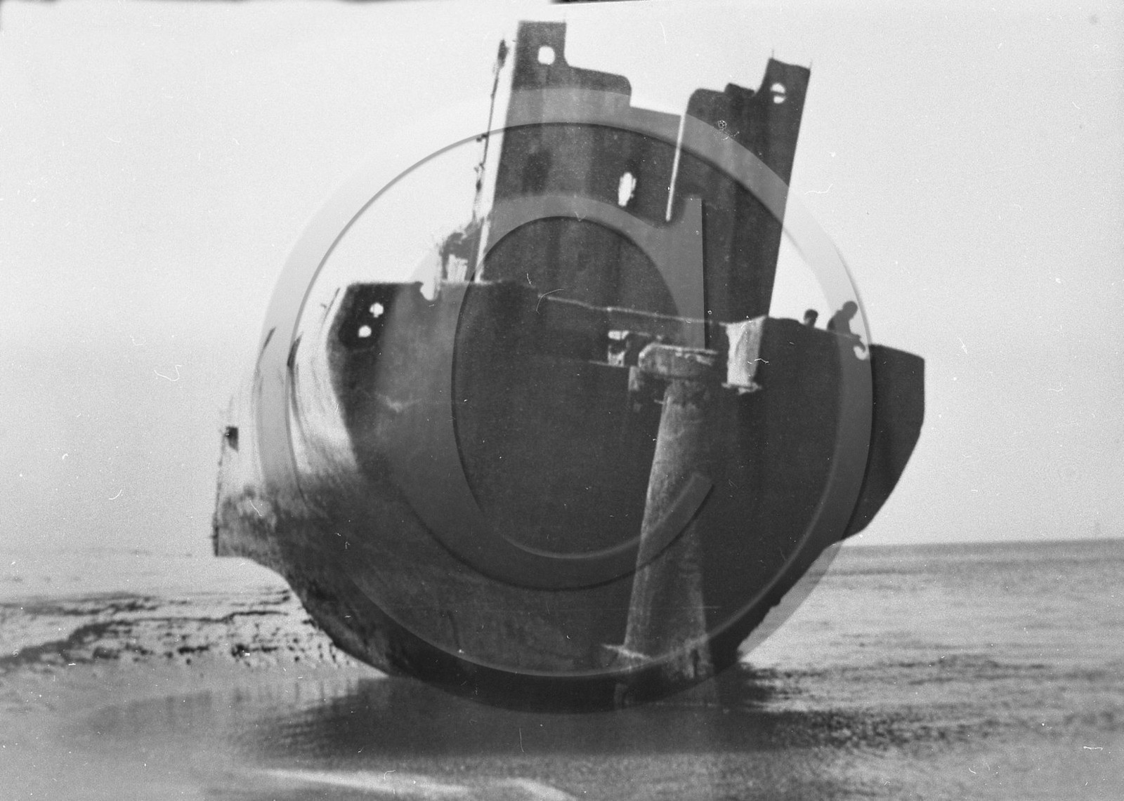 arc 3446.jpg