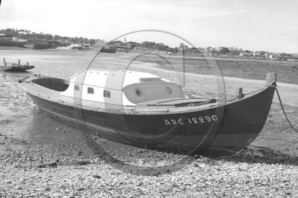 arc 1252.jpg