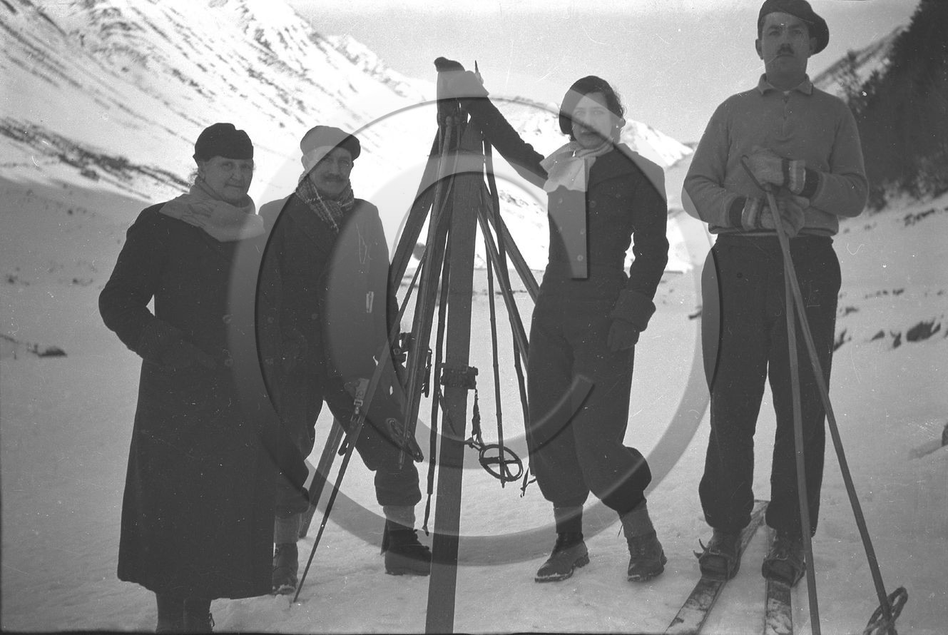 sl 262 ski.jpg