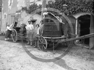 AG 446  .jpg